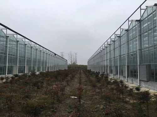 含腐殖酸水溶肥料