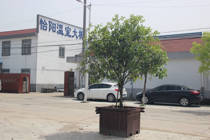 水溶肥水劑
